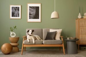 Elegant Living Room Interior Design Ideas