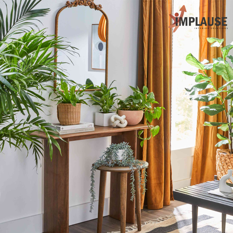 indoor plants